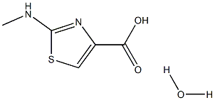 2-(methylamino)-1,3-thiazole-4-carboxylic acid hydrate Structure
