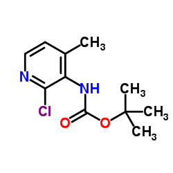 2-Methyl-2-propanyl (2-chloro-4-methyl-3-pyridinyl)carbamate structure