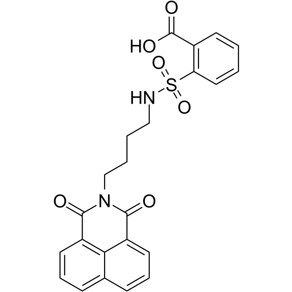 DBIBB Structure