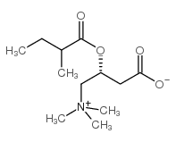 31023-25-3结构式