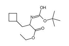 ETHYL 2-((TERT-BUTOXYCARBONYL)AMINO)-3-CYCLOBUTYLPROPANOATE结构式