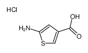 5-aminothiophene-3-carboxylic acid,hydrochloride结构式