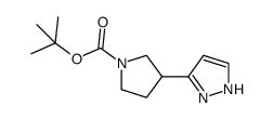 tert-butyl 3-(1H-pyrazol-3-yl)pyrrolidine-1-carboxylate picture