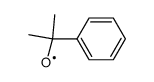 cumyloxy radical Structure