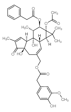 175796-50-6 structure