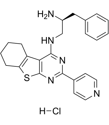 2250019-91-9结构式