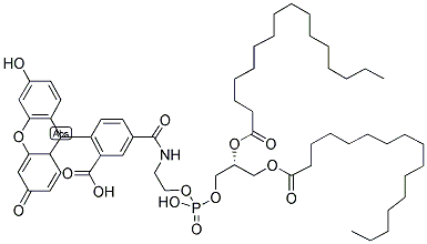 799268-49-8 structure