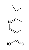 6-叔丁基烟酸图片