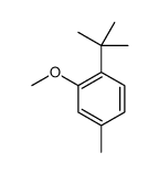 2-tert-butyl-5-methyl anisole Structure