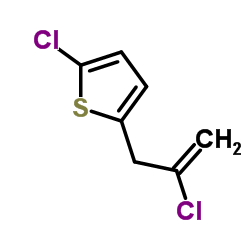 2-Chloro-5-(2-chloro-2-propen-1-yl)thiophene图片