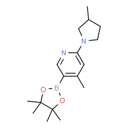 4-Methyl-2-(3-Methylpyrrolidin-1-yl)-5-(4,4,5,5-tetramethyl-1,3,2-dioxaborolan-2-yl)pyridine结构式