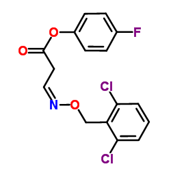 338404-22-1 structure