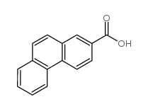 40452-20-8 structure