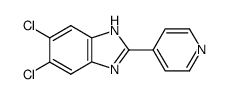 5,6-dichloro-2-pyridin-4-yl-1H-benzoimidazole结构式