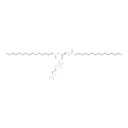 1,2-Dipalmitoyl-13C-sn-glycero-3-PC picture