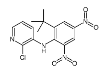 N-(2-tert-butyl-4,6-dinitrophenyl)-2-chloropyridin-3-amine Structure