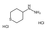 1-(四氢-2H-硫代吡喃-4-基)肼二盐酸盐结构式