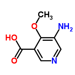 5-Amino-4-methoxynicotinic acid Structure