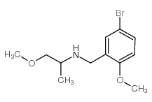 N-[(5-bromo-2-methoxyphenyl)methyl]-1-methoxypropan-2-amine图片