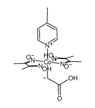 81956-64-1结构式