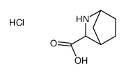 2-Azabicyclo[2.2.1]Heptane-3-Carboxylic Acid Hydrochloride picture