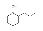 coniine hydroxylamine Structure