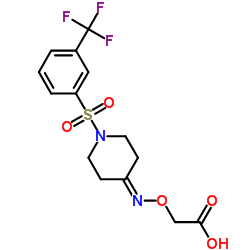 1092464-36-2 structure