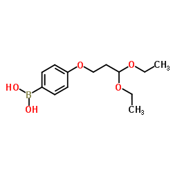 [4-(3,3-Diethoxypropoxy)phenyl]boronic acid Structure