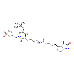 1322623-64-2 structure