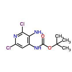 tert-butyl (3-amino-2,6-dichloropyridin-4-yl)carbamate picture