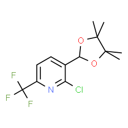 2-Chloro-6-trifluoromethylpyridin-3-bronic aicd, pinacol ester Structure