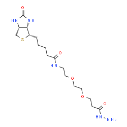 Biotin-PEG2-Hydrazide picture