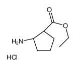 311341-93-2 structure