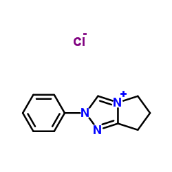 2-苯基-6,7-二氢-5H-吡咯并[2,1-c][1,2,4]三唑-2-鎓氯化物结构式