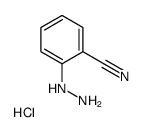 2-CYANOPHENYLHYDRAZINEHYDROCHLORIDE picture