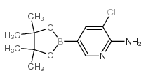 3-氯-5-(4,4,5,5-四甲基-1,3,2-硼酸频那醇酯-2-基)吡啶-2-胺图片