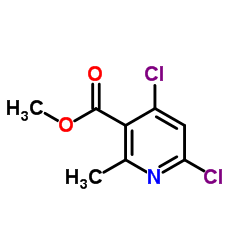 4,6-二氯-2-甲基烟酸甲酯图片