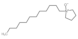 Pyrrolidine,1-dodecyl-, 1-oxide结构式