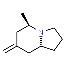 Indolizine, octahydro-5-methyl-7-methylene-, (5R,8aR)- (9CI)结构式