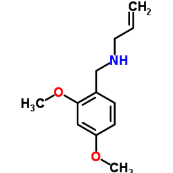 [(2,4-dimethoxyphenyl)methyl](prop-2-en-1-yl)amine picture