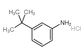 3-叔丁基苯胺 盐酸盐结构式