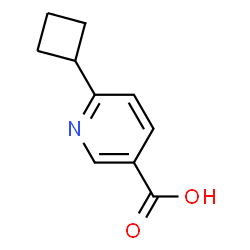 6-Cyclobutylnicotinic acid Structure