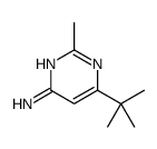 6-tert-Butyl-2-methyl-pyrimidin-4-ylamine picture