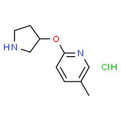 5-Methyl-2-(pyrrolidin-3-yloxy)pyridine hydrochloride picture