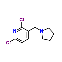 2,6-Dichloro-3-(pyrolidin-1-ylmethyl)pyridine picture