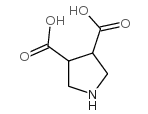 吡咯烷-3,4-二羧酸图片