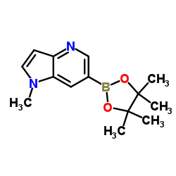 1-Methyl-6-(4,4,5,5-tetramethyl-1,3,2-dioxaborolan-2-yl)-1H-pyrrolo[3,2-b]pyridine Structure