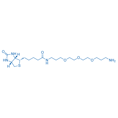 183896-00-6 structure