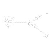 PROTAC BRD4 Degrader-13结构式