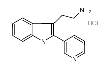 2-(2-吡啶-3-基-1H-吲哚-3-基)乙胺盐酸盐图片